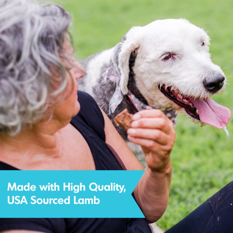 Skin & Coat Jerky Treats, Lamb Dogswell