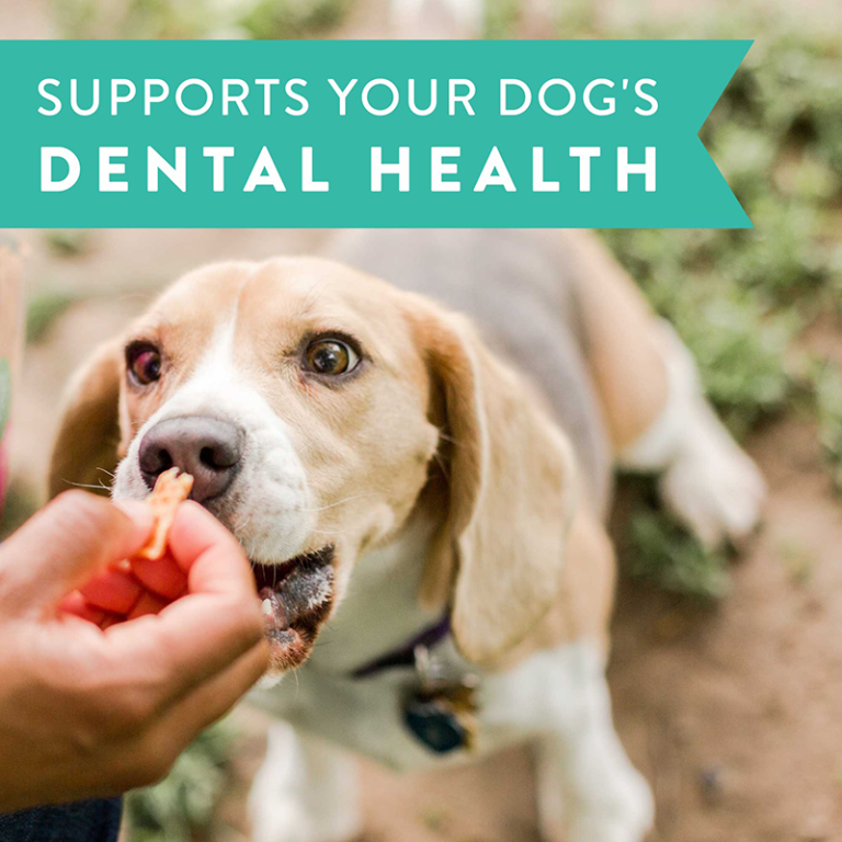 Dental Jerky Treats, Chicken Recipe Dogswell